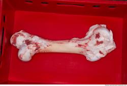 Photo Textures of RAW Bones Beef